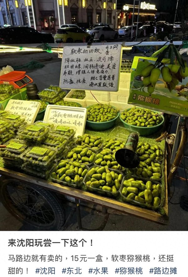 开yun体育网软枣猕猴桃无疑是一个特立独行的存在-开云「中国」kaiyun体育网址登录入口