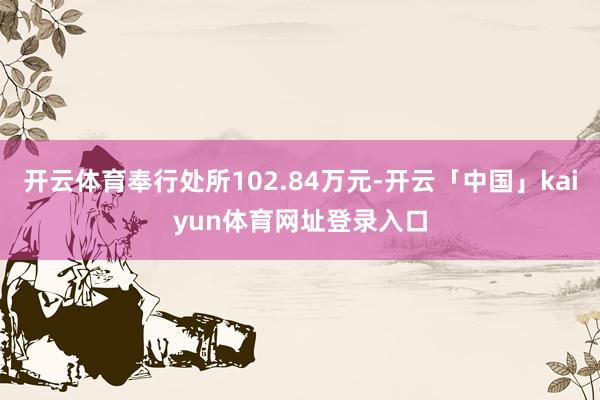 开云体育奉行处所102.84万元-开云「中国」kaiyun体育网址登录入口