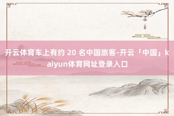 开云体育车上有约 20 名中国旅客-开云「中国」kaiyun体育网址登录入口