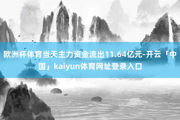 欧洲杯体育当天主力资金流出11.64亿元-开云「中国」kaiyun体育网址登录入口